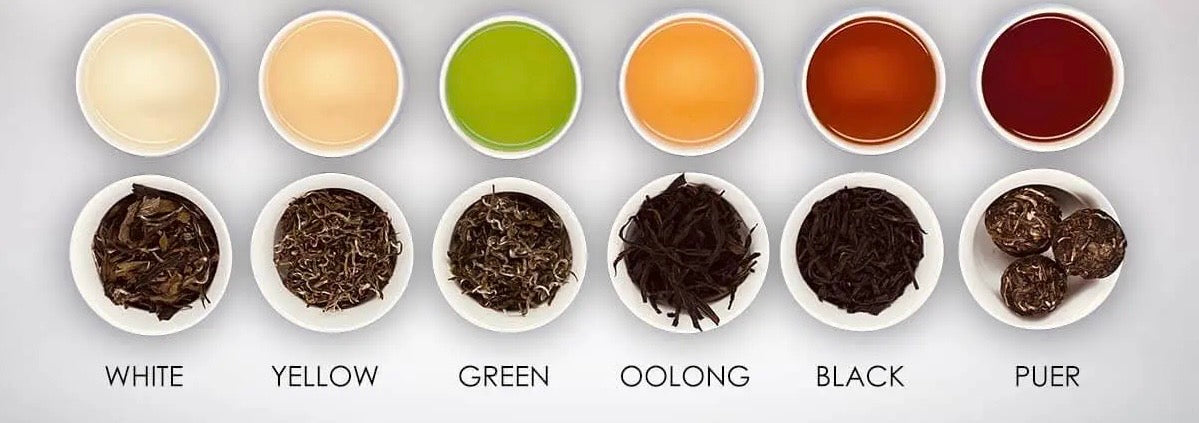 ¿Cuántos tipos de tés hay?