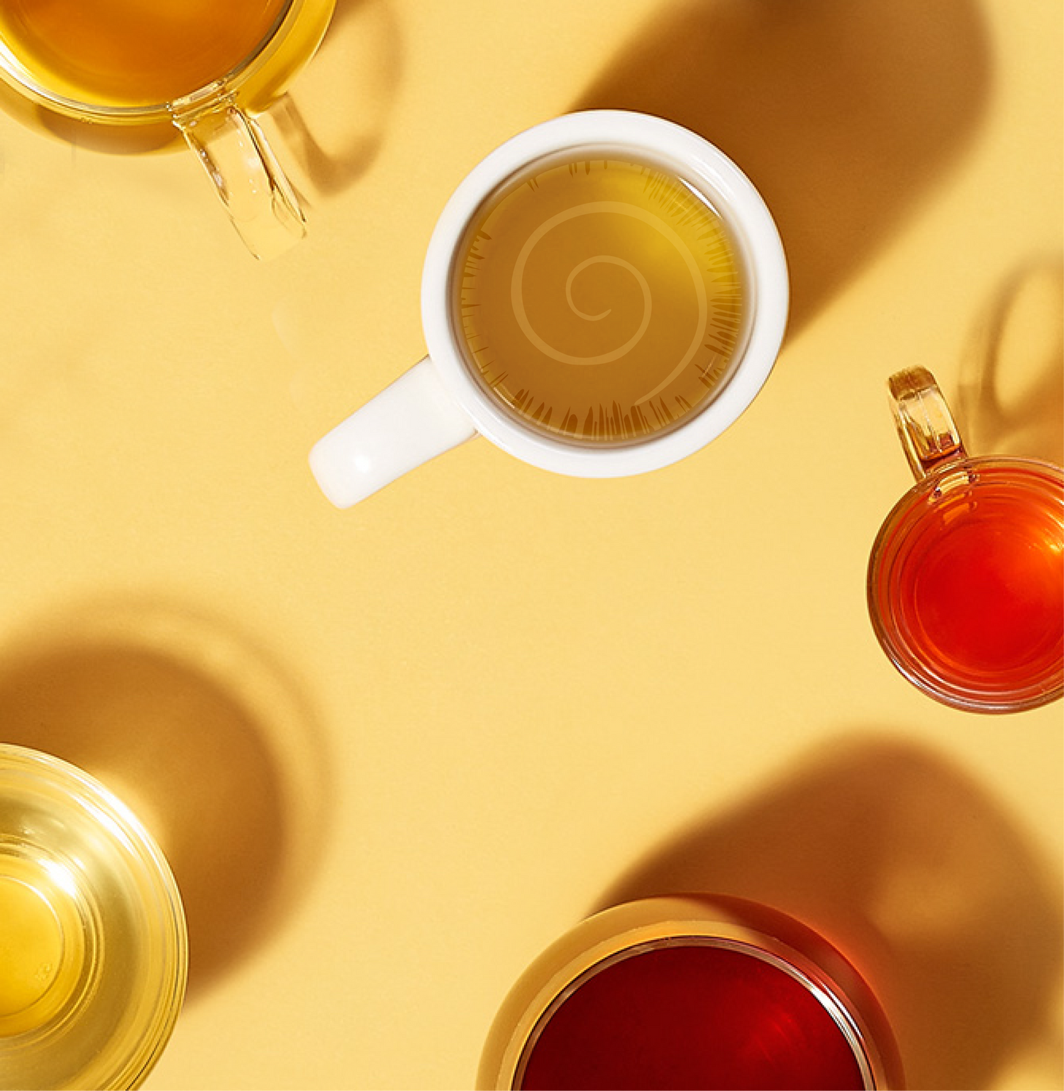 🍵 Infusores: el match perfecto entre tu té y tu estilo de vida