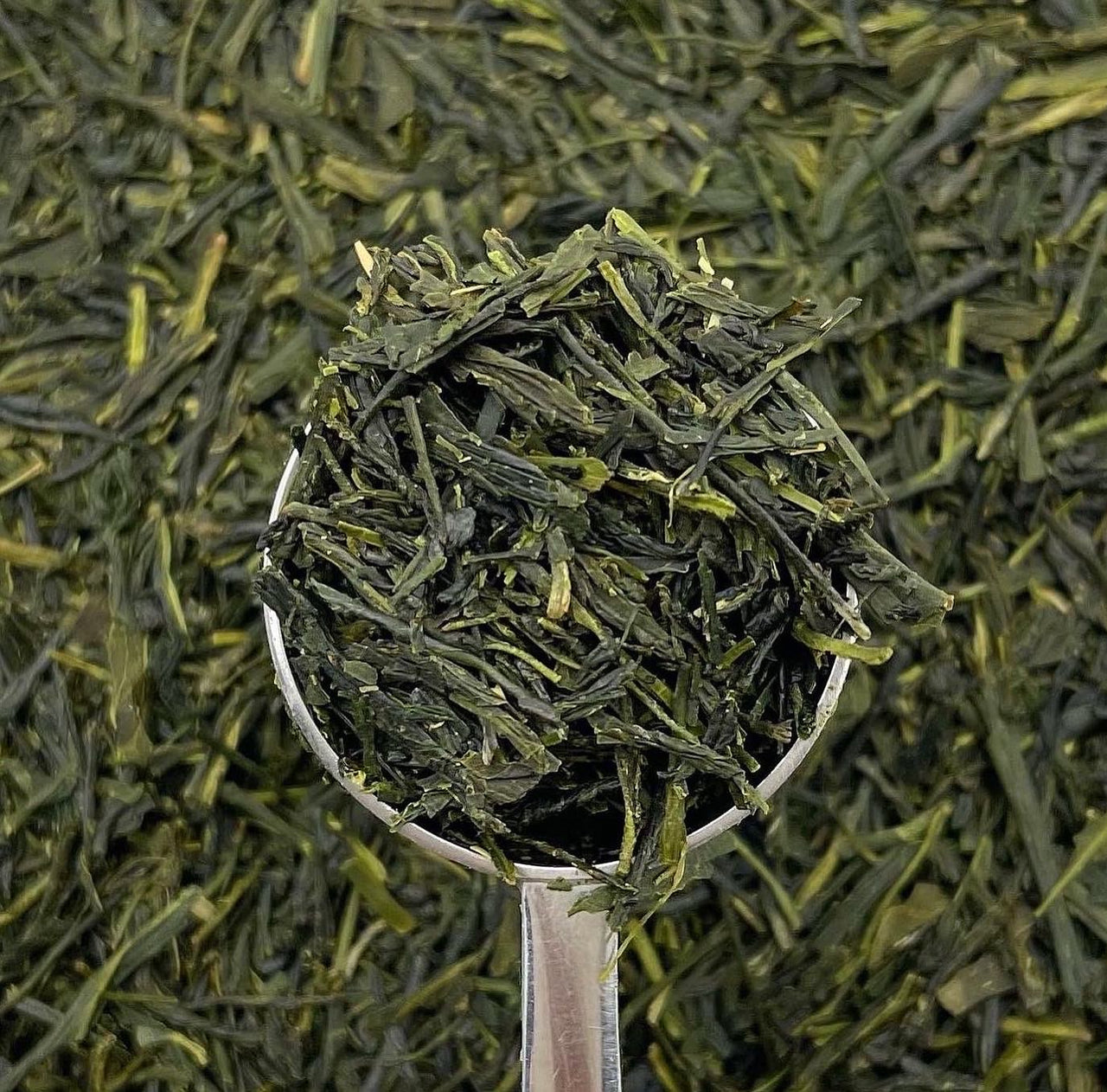 GYOKURO JAPONÉS