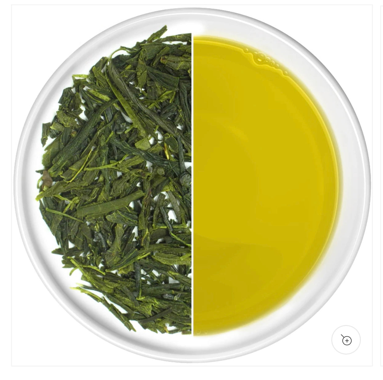 SENCHA