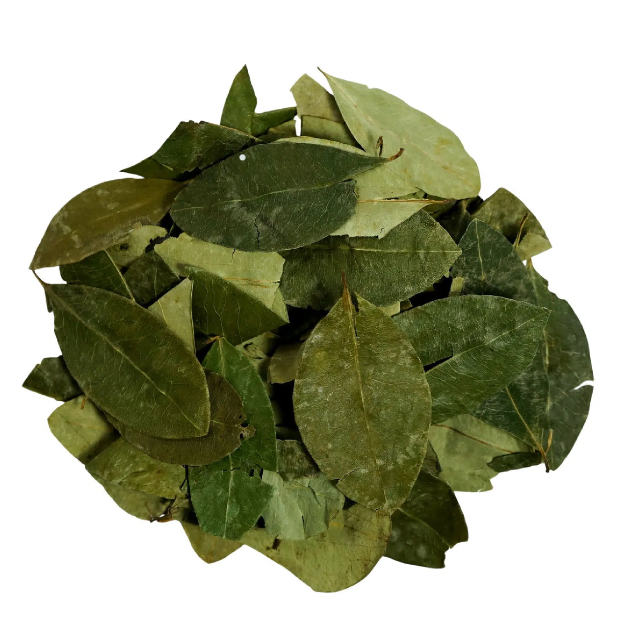 Hoja de Coca