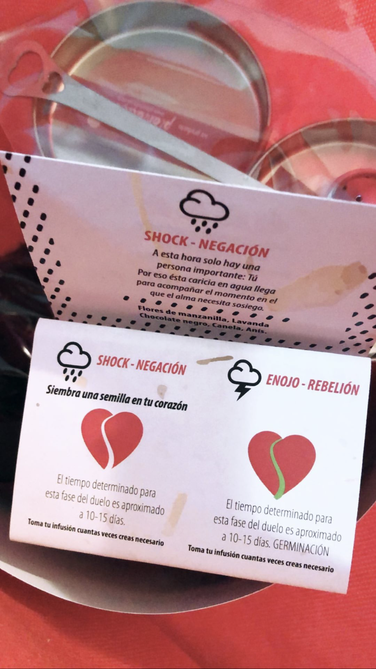 TIEMPO AL TIEMPO - enojo - rebelion