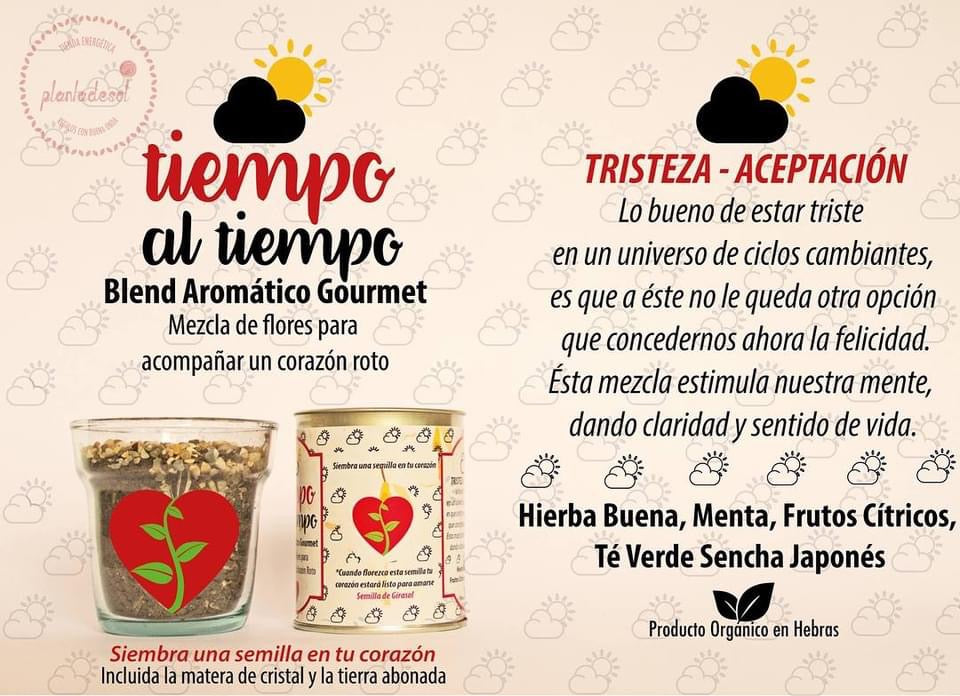 TIEMPO AL TIEMPO - Tristeza - Aceptación